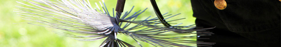 Banner - Dirk Theodor